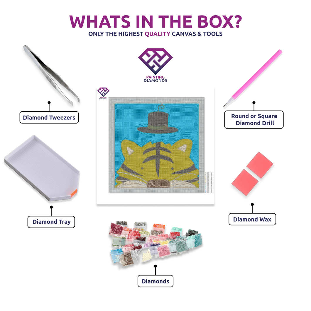 Tiger - Beginner set