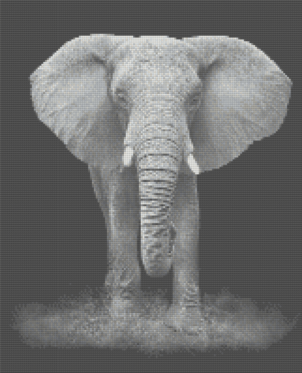 Black & White Elephant - 5D Diamond Painting Kit