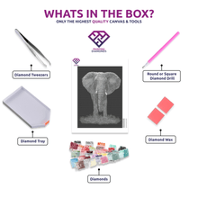 Black & White Elephant - 5D Diamond Painting Kit
