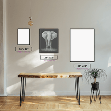 Black & White Elephant - 5D Diamond Painting Kit