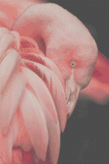 Dance the Flamingo - 5D Diamond Painting Kit