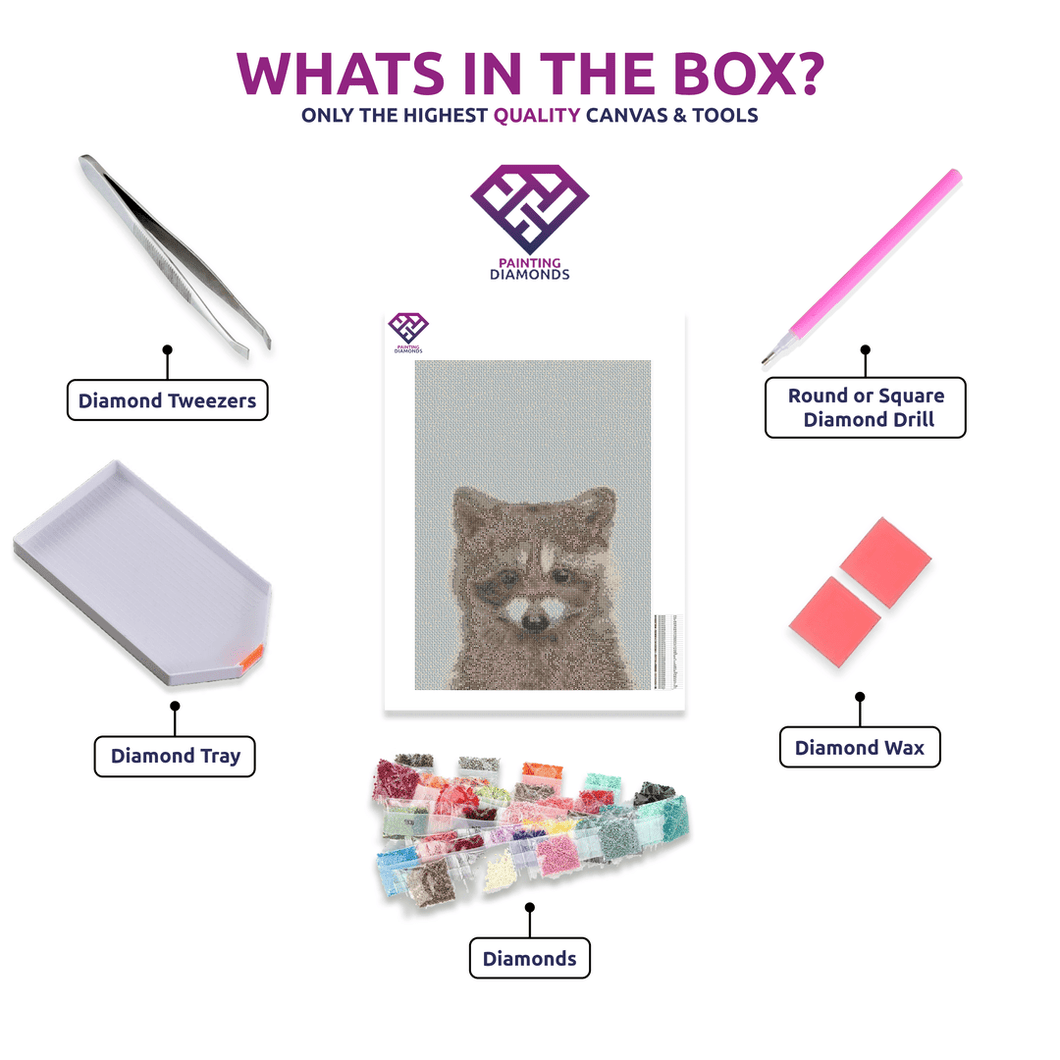 Raccoon - 5D Diamond Painting Kit