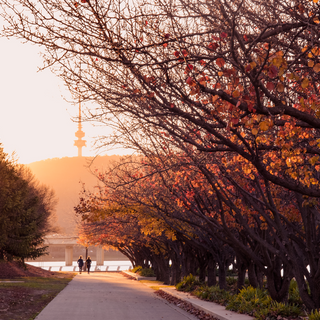 Autumn