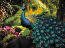 Peacock Splendour - 5D Diamond Painting Kit