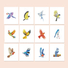 Colourful Birds twelve-pack mini diamond painting set with all designs