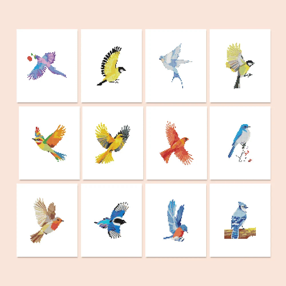 Colourful Birds twelve-pack mini diamond painting set with all designs