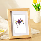 Completed Colourful Spiders mini diamond painting shown as framed decor
