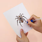 Applying drills to a Colourful Spiders mini diamond painting design