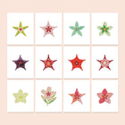 Star Blooms twelve-pack mini diamond painting set with all designs