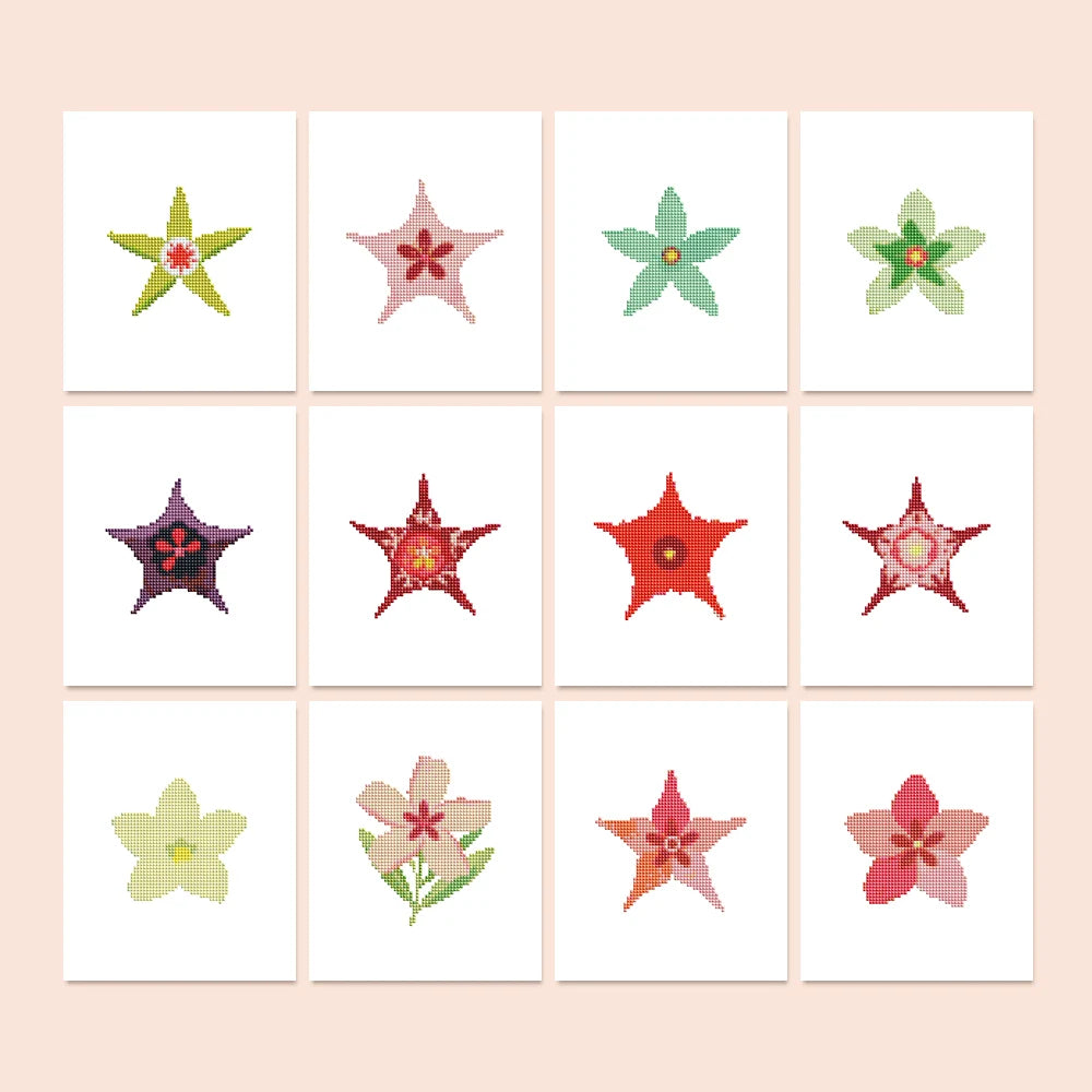 Star Blooms twelve-pack mini diamond painting set with all designs
