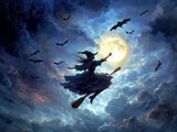 Pointed-hat figure riding a broom through a dark blue moonlit sky