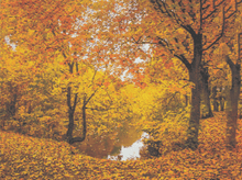 Autumn Lake Reverie - 5D Diamond Painting Kit