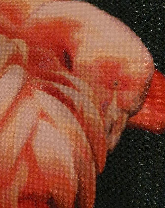 Dance the Flamingo - Hard to Do - 5D Diamond Painting Kit