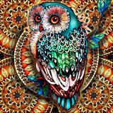 Front-facing owl with turquoise, green and orange ornamental feather patterns