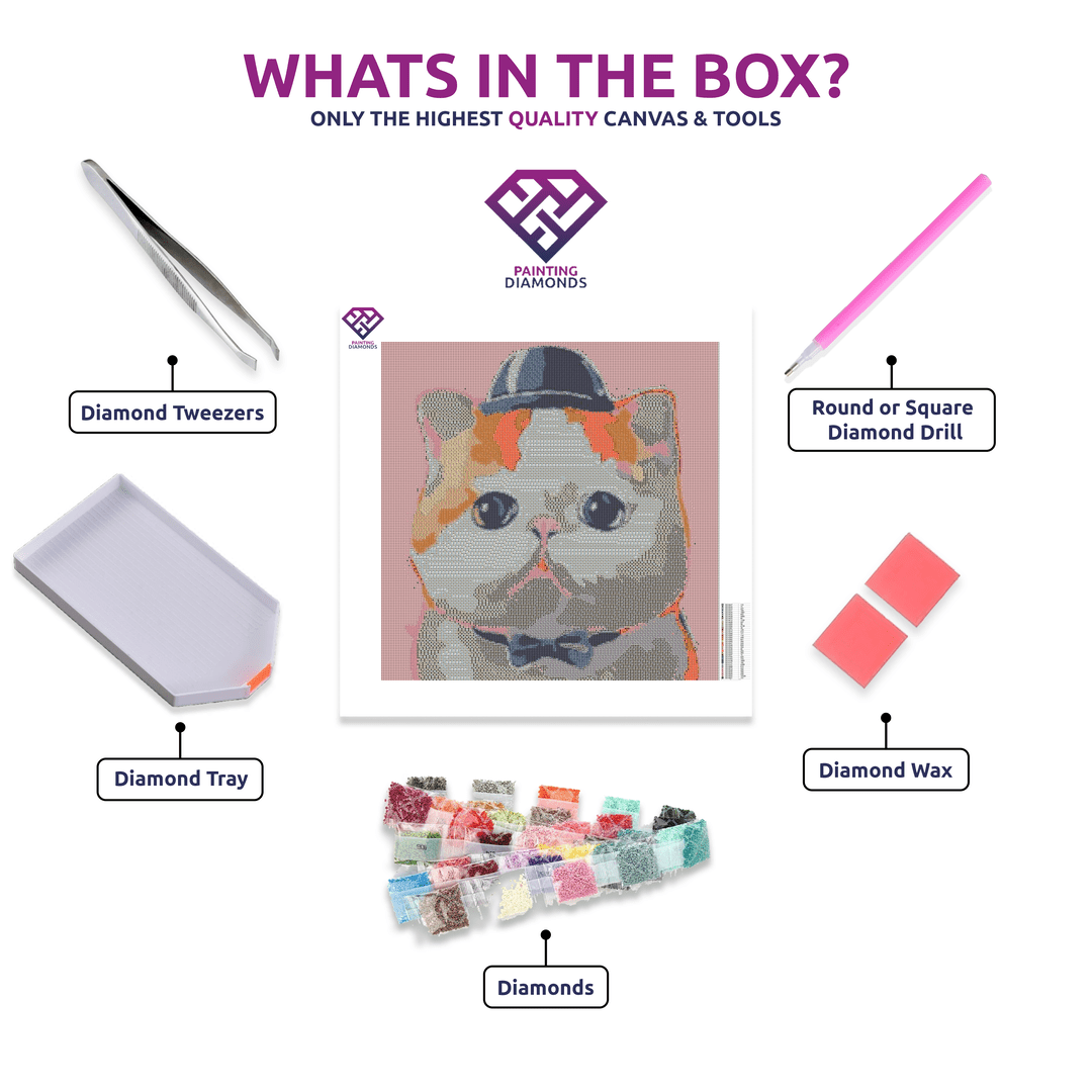 Gentleman Kitty diamond painting kit contents shown together