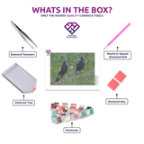 Magpie Duo diamond painting kit contents shown together