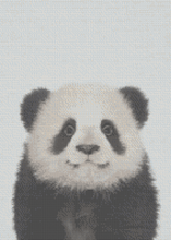Panda - 5D Diamond Painting Kit