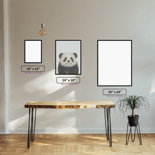 Panda - 5D Diamond Painting Kit