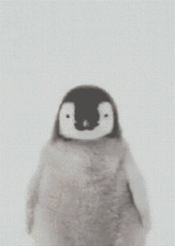 Penguin artwork shown as a completed diamond painting preview