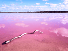 The Pink Lake - 5D Diamond Painting Kit