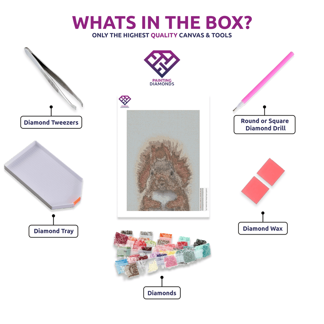 Squirrel - 5D Diamond Painting Kit